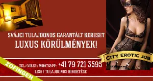 Svájci tulajdonos - garantált kereset - luxus körülmények