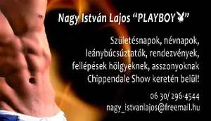 chippendale borsod-miskolc