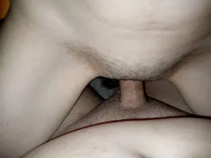 Hajdubiszex