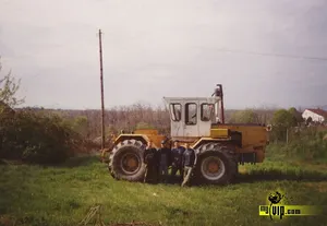 hazikényeztetés