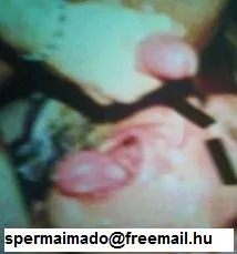A spermádat nyelném!