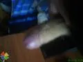 Sexpartnert