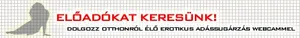 Internet + Webkamera otthon = sok pénz!