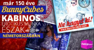 Napi 500 EUR az igazi piroslámpás negyedben, Németországban!