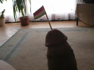 robo és a szex
